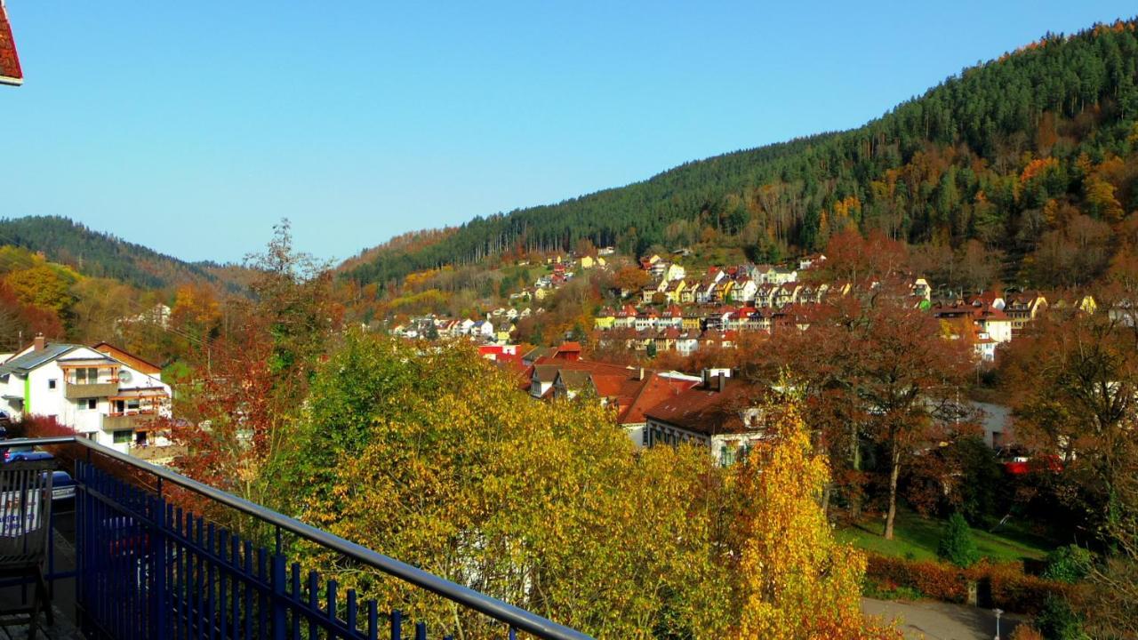 Villa Fink Schramberg Exterior photo